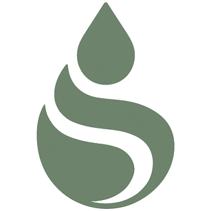 Lifeday Counter logo